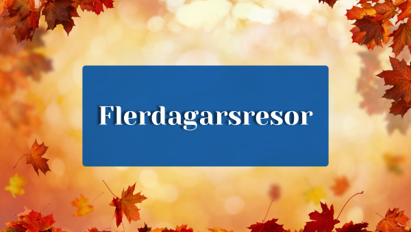 Flerdagarsresor